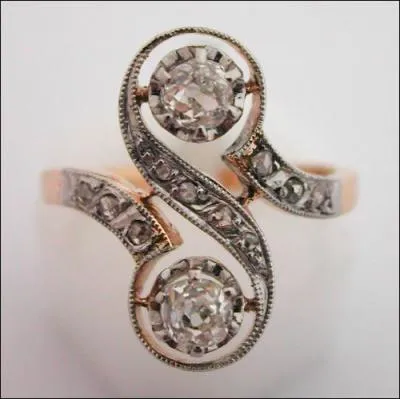 Comment- appelle-t-on cette bague ?