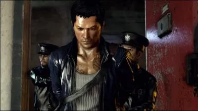 Qui est ce héros dont les mouvements ont été réalisés par le champion poids walter de l'UFC, George St Pierre ?