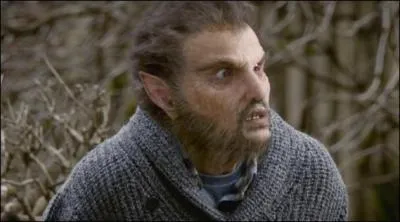 Dans cette srie amricaine, l'inspecteur Nick Burckhardt est capable de reconnatre la face cache de cratures monstrueuses !