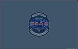 En parlant du BSAA, sous l'gide de qui est cette organisation ?