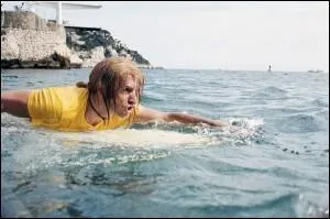 Quel est ce film de surf ?