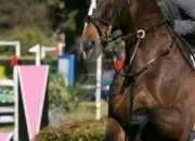 Quiz S'entraner pour son galop 4