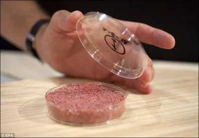 Pour obtenir le Frankenburger d'abord on doit... (cette question pour que personne n'ait z�ro)