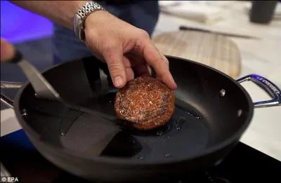 Le go�t du Frankenburger a �t� d�clar�...