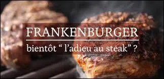 Le grand avantage de son Frankenburger est qu'il produit autour de 80% moins de gaz de serre, n�cessite entre 82 et 96% moins d'eau et 99% moins de...