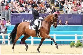 Lesquelles de ces diciplines questres sont des diciplines olympiques ?