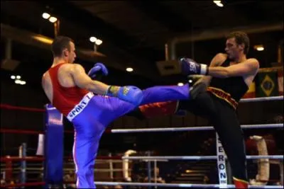 Quel autre nom donne-t-on  ce sport de combat appel  boxe franaise  ?