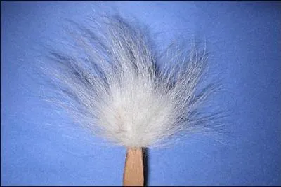 A l'une de ses extrmits, son manche est garni d'une touffe de poils, naturels ou synthtiques, dont l'usage permet d'taler diffrentes substances sur une surface. C'est... (la photo n'a rien  voir avec la rponse)