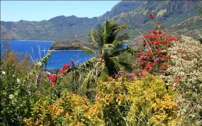 les de Polynsie, quel est leur titre de noblesse ?