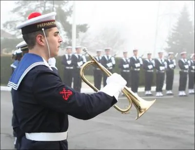 Comment se nomme cet autre cousin, instrument dit ' d'ordonnance  qui ne produit que des sons naturels et rveille les soldats ?