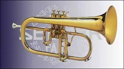 Voici le mme, muni de quelques accessoires supplmentaires cits en Q2. Quel est son nom ?