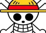 Quiz Luffy deviendra le roi des pirates / Page facebook