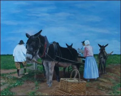 De petit calibre, ronde, à chair ferme et tendre, ne se conservant que quelques jours, elle est cultivée dans une terre très sablonneuse. Cette variété de pommes de terre est exclusive à l'île de Noirmoutier... .