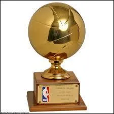 Quelle est l'quipe type de l'anne ?