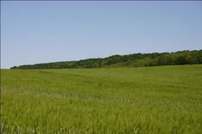 Le mot commence par : M ...