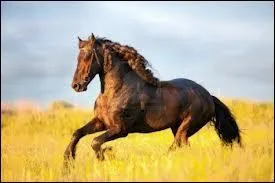 Le mot commence par : M ...