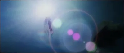 Épisode 29 - Après son combat contre Krieg, Luffy tombe dans la mer enroulé dans un filet. Qui vient le sauver ?