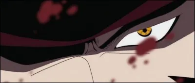 Épisode 24 - Comment se termine le combat entre Mihawk et Zoro ?
(2 réponses)