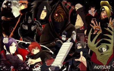 Qui rentre dans l'Akatsuki quand il n'y reste plus que Tobi, Kisame, Pein et Konan ?