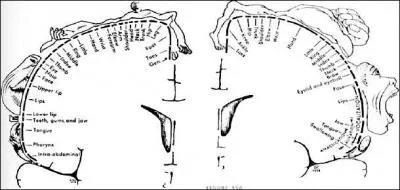 Comment se nomme cette reprsentation ?