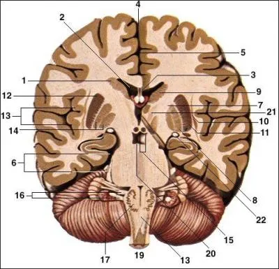 Que reprsente le chiffre 4 ?
