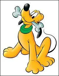 Vous avez reconnu le chien de Mickey :