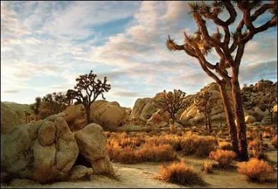 Que reprsente la photo?