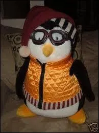  qui appartient-elle ?