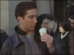 Comment s'appelle le singe de Ross ?