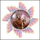 Pour brosser on commence par ...