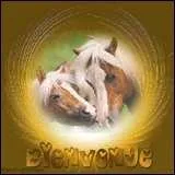 Quel est l'en tte du cheval ?