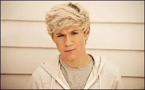Quelle musique Niall a-t-il compose lui-mme ?