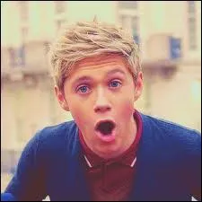Quel nom voulait donner Niall au groupe ?