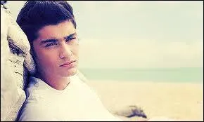 Avec qui sort Zayn ?