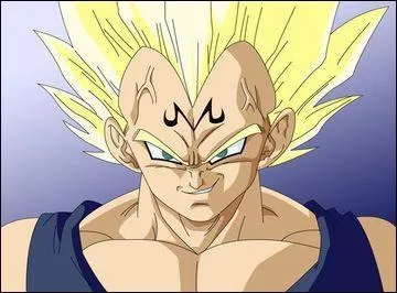 Qui est ce personnage de Dragon Ball Z ?