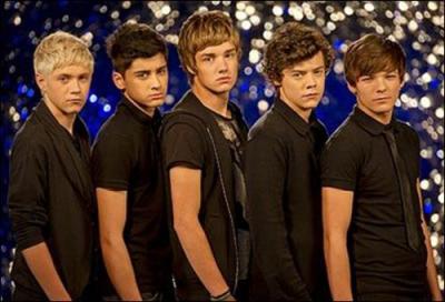 Les One Direction se sont forms  X-FACTOR UK. Vrai ou faux ?