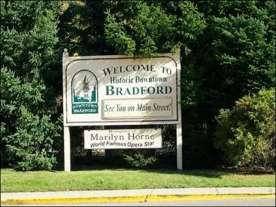 Zayn Malik est n  Bradford. Vrai ou faux ?