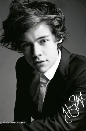 Harry est n en 1997. Vrai ou faux ?