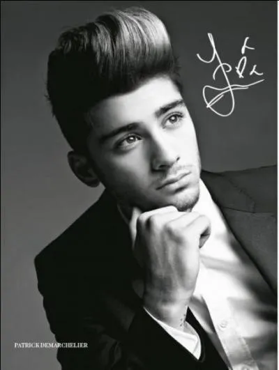 Zayn est n en 1993. Vrai ou faux ?