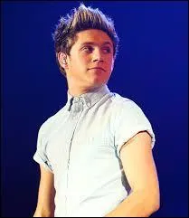 Avant que Harry ne propose  One Direction , qu'avait propos Niall ?