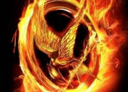 Quiz Hunger Games - Les personnages
