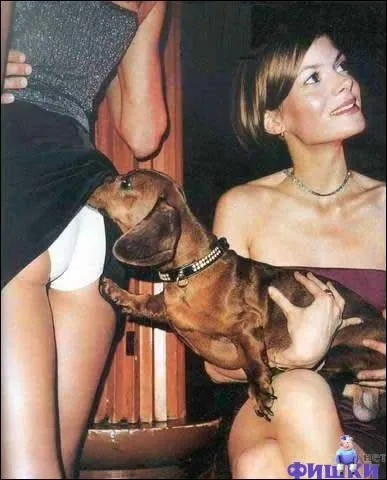 Retrouvez le proverbe !