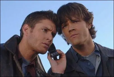 Qu'coute Sam et son frre ?