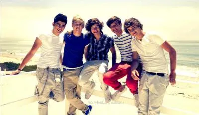 Comment s'intitule leur premier clip se passant  Los Angeles ?