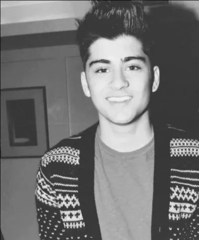Zayn sait bien ...