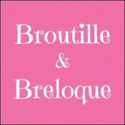 Le mot  broutille  dsigne une histoire sans importance ou une petite chose mais qu'indique-t-il aussi ?