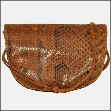 Qu'entend-on par animal  ophidien  ?