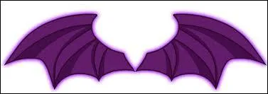 Ce sont les ailes des ..... ?