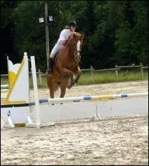 En CSO tu dois galoper ...