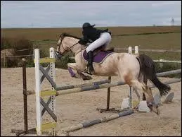 Que doivent faire tes mains pendant le saut ?